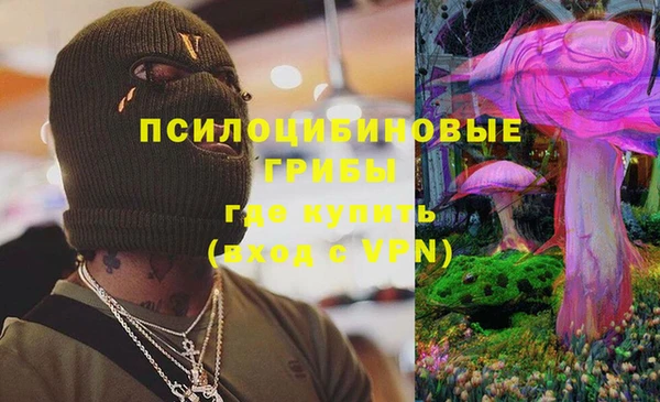 твердый Михайловка